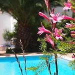 Quinta Da Relva - A Traditional In A Stunning Location Holiday home