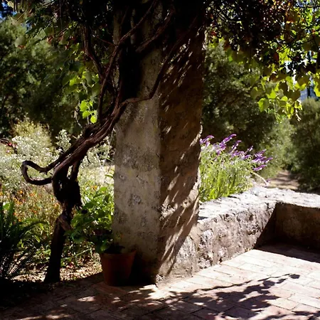 Quinta Da Relva - A Traditional In A Stunning Location Holiday home *