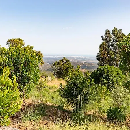 Quinta Da Relva - A Traditional In A Stunning Location Tatil Evi Monchique