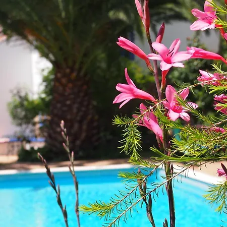 Quinta Da Relva - A Traditional In A Stunning Location Tatil Evi