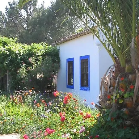Quinta Da Relva - A Traditional In A Stunning Location *