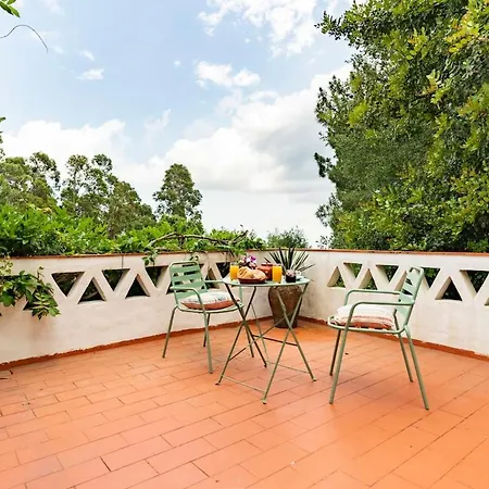 Quinta Da Relva - A Traditional In A Stunning Location *