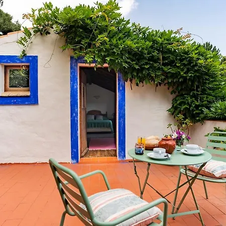Tatil Evi Quinta Da Relva - A Traditional In A Stunning Location