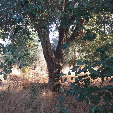 Quinta Da Relva - A Traditional In A Stunning Location Tatil Evi