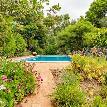 Quinta Da Relva - A Traditional In A Stunning Location Monchique