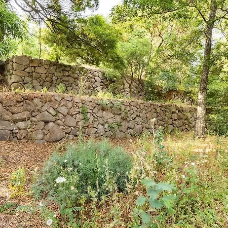 別荘 Quinta Da Relva - A Traditional In A Stunning Location