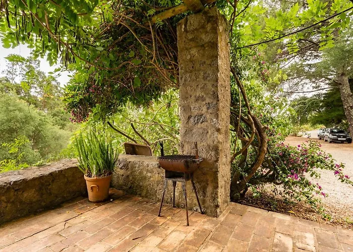 Quinta Da Relva - A Traditional In A Stunning Location Casa vacanze