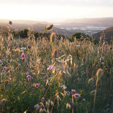 Сasa de vacaciones Quinta Da Relva - A Traditional In A Stunning Location *